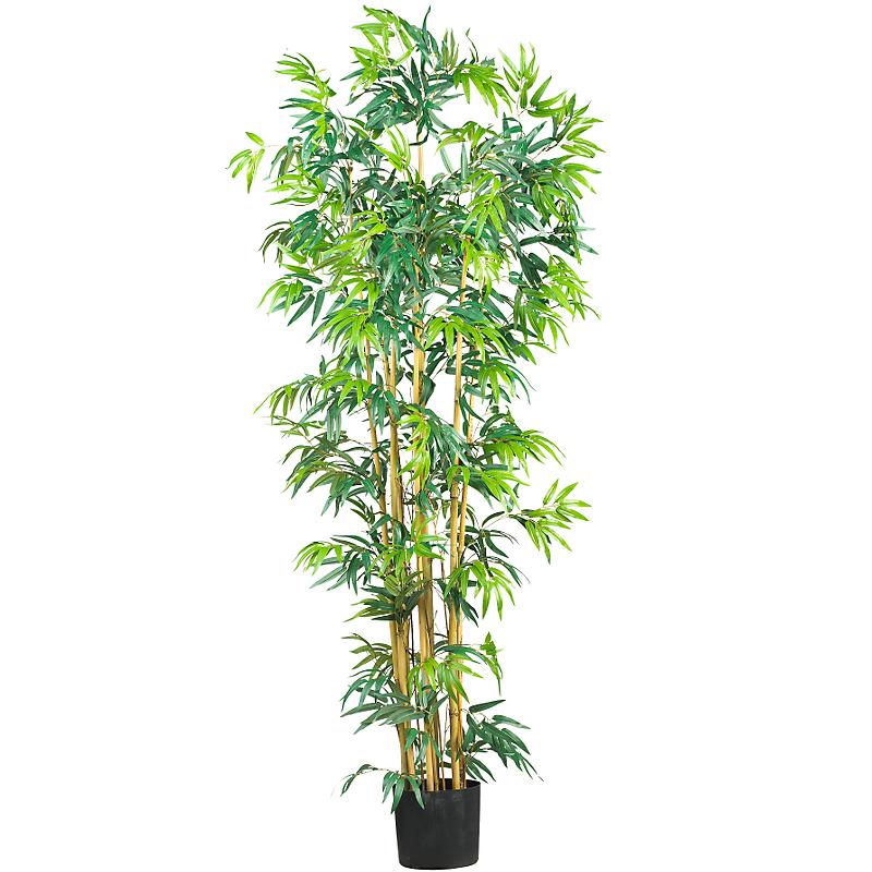 (image for) 6' Multi Bambusa Bamboo Silk Tree # NN5214 TEXT_CLOSE_WINDOW